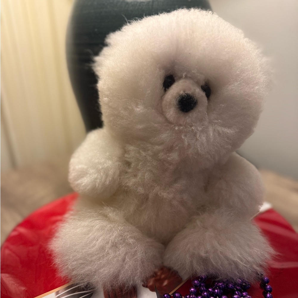 Fluffy  white  teddy Bear